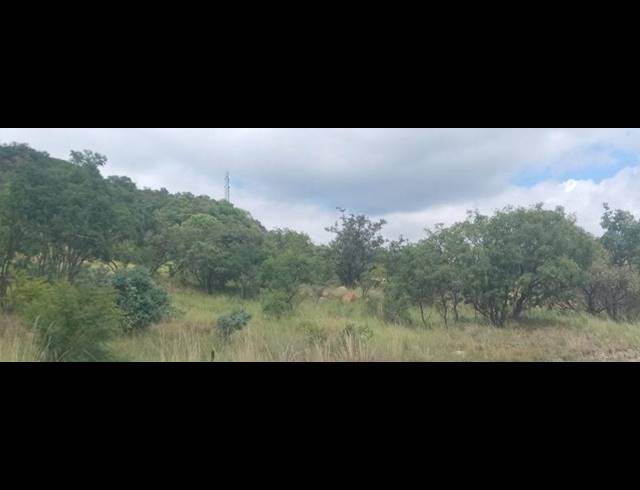 LAND FOR SALE IN ELANDSRAND